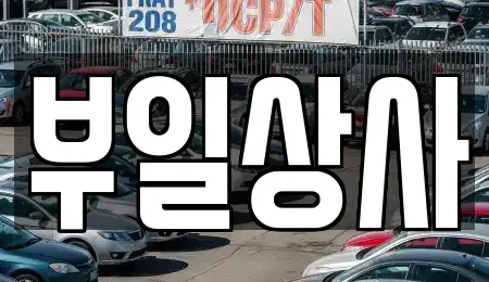 인천광역시 강화군 중고차매매 전문 부일상사