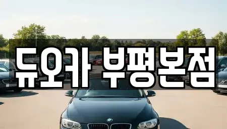 인천광역시 계양구 효성동 장기렌트카 전문 듀오카 부평본점