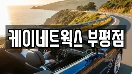 인천광역시 계양구 효성동 장기렌트카 전문 케이네트웍스 부평점