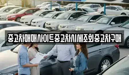 인천광역시 계양구 효성동 중고차 전문 중고차매매사이트중고차시세조회중고차구매
