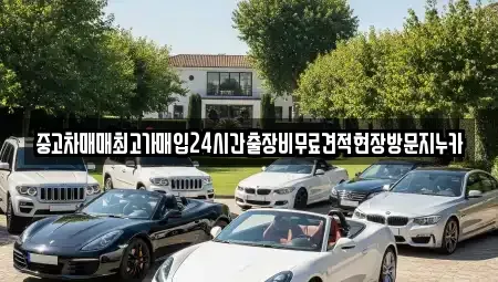 인천광역시 계양구 효성동 중고차 전문 중고차매매최고가매입24시간출장비무료견적현장방문지누카