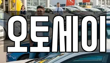 인천광역시 남동구 간석동 장기렌트카 전문 오토세이