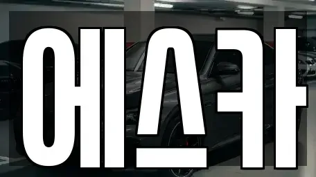 인천광역시 남동구 간석동 중고차 전문 에스카