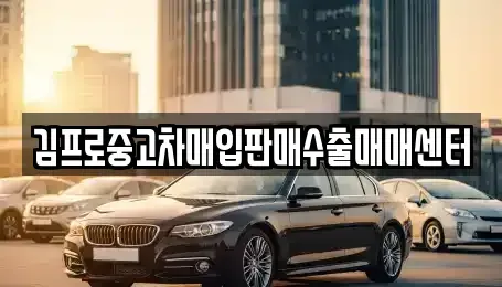 인천광역시 남동구 간석동 중고차매입 전문 김프로중고차매입판매수출매매센터