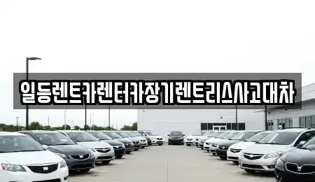 인천광역시 동구 화수동 장기렌트카 전문 일등렌트카렌터카장기렌트리스사고대차