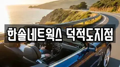 인천광역시 옹진군 덕적면 렌트카 전문 한솔네트웍스 덕적도지점