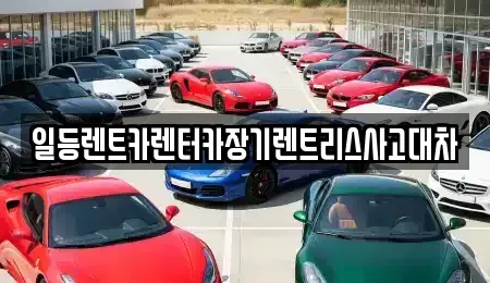 인천광역시 중구 신흥동1가 장기렌트카,중고차,렌트카,단기렌트카,중고차매입,중고차매매