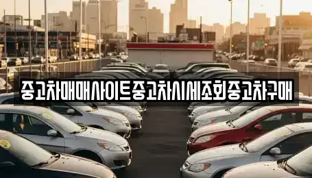 인천광역시 중구 신흥동1가 중고차 전문 중고차매매사이트중고차시세조회중고차구매
