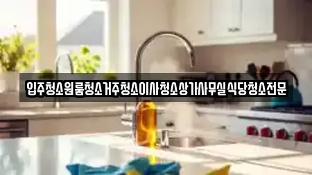 입주청소원룸청소거주청소이사청소상가사무실식당청소전문