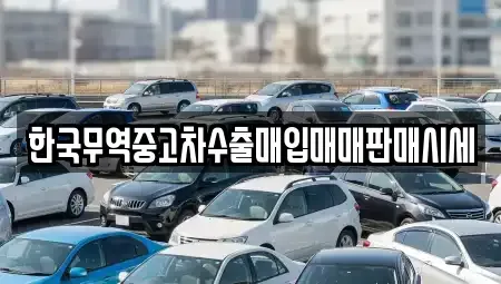 전남 강진군 중고차매입 전문 한국무역중고차수출매입매매판매시세