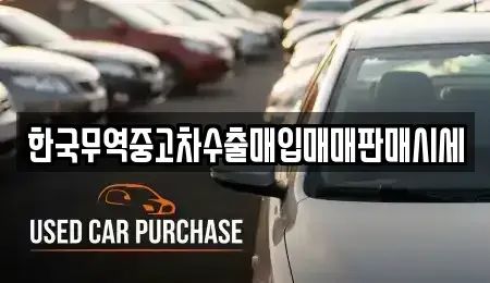 전남 나주시 오량동 중고차매매,단기렌트카,중고차매입,장기렌트카,중고차,렌트카