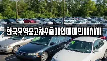 전라남도 순천시 중앙동 중고차매입 전문 한국무역중고차수출매입매매판매시세