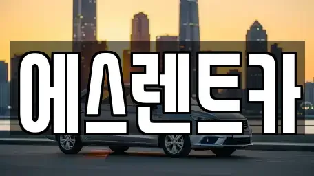 전라남도 장성군 남면 렌트카 전문 에스렌트카