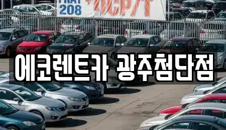 전라남도 장성군 남면 렌트카 전문 에코렌트카 광주첨단점