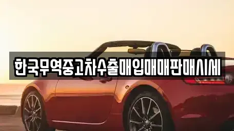 전라남도 장성군 남면 중고차매입 전문 한국무역중고차수출매입매매판매시세