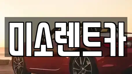 전북 군산시 수송동 렌트카 전문 미소렌트카