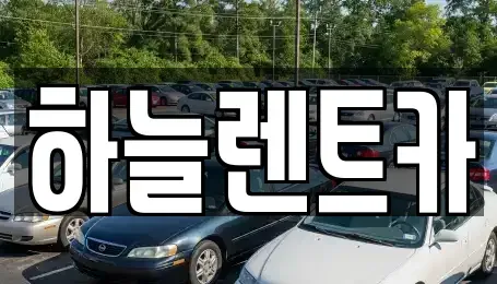 전북 군산시 수송동 렌트카,단기렌트카,장기렌트카,중고차,중고차매매,중고차매입