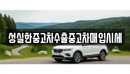 전북 군산시 중동 중고차매매 전문 성실한중고차수출중고차매입시세