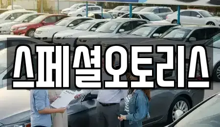 전북 익산시 중앙동1가 장기렌트카 전문 스페셜오토리스