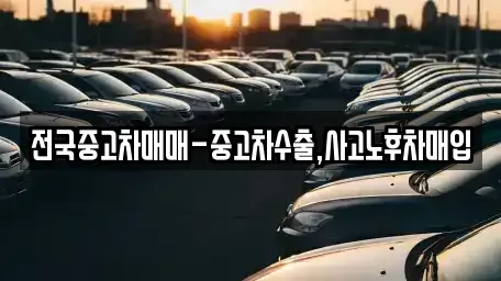 전북 익산시 중앙동1가 중고차매입 전문 전국중고차매매-중고차수출,사고노후차매입