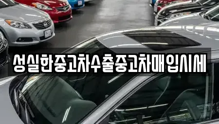 전북 전주시 완산구 전동 중고차 전문 성실한중고차수출중고차매입시세