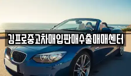 전북 전주시 완산구 전동 중고차매입 전문 김프로중고차매입판매수출매매센터