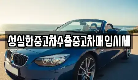 전북 전주시 완산구 중앙동2가 중고차 전문 성실한중고차수출중고차매입시세