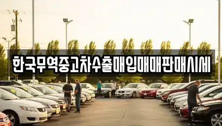 전북특별자치도 군산시 나운동 중고차매매 전문 한국무역중고차수출매입매매판매시세