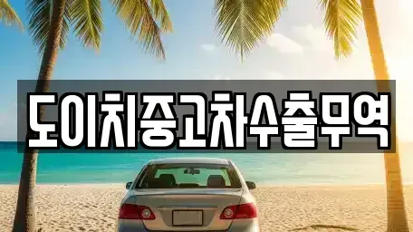 전북특별자치도 군산시 둔율동 중고차매매 전문 도이치중고차수출무역