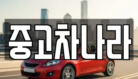 전북특별자치도 익산시 동산동 중고차 전문 중고차나라