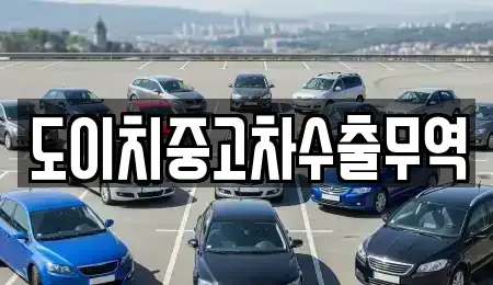 전북특별자치도 전주시 완산구 중앙동4가 중고차 전문 도이치중고차수출무역