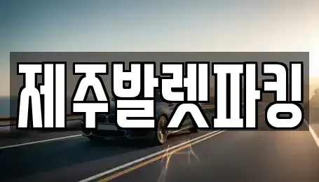 제주 제주시 아라이동 렌트카 전문 제주발렛파킹