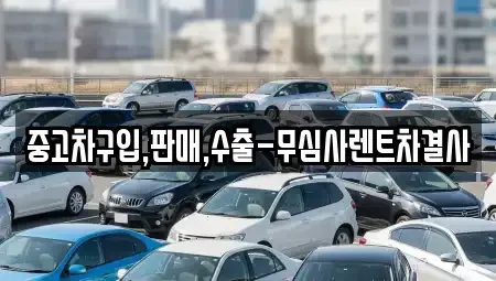 제주 제주시 용담이동 중고차 전문 중고차구입,판매,수출-무심사렌트차결사