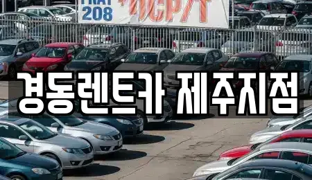 제주 제주시 이호이동 단기렌트카 전문 경동렌트카 제주지점