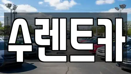 제주 제주시 이호이동 렌트카 전문 수렌트카