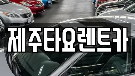 제주 제주시 이호이동 렌트카 전문 제주타요렌트카