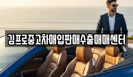 제주 제주시 이호이동 중고차 전문 김프로중고차매입판매수출매매센터