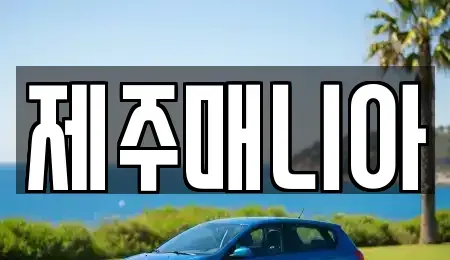 제주 제주시 화북일동 렌트카 전문 제주매니아