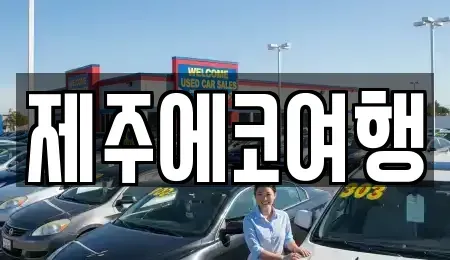 제주 제주시 화북일동 렌트카 전문 제주에코여행