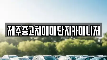 제주 제주시 화북일동 중고차 전문 제주중고차매매단지카매니저