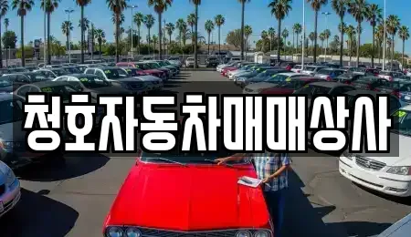 제주 제주시 화북일동 중고차 전문 청호자동차매매상사
