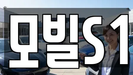 제주 제주시 화북일동 중고차매입 전문 모빌S1