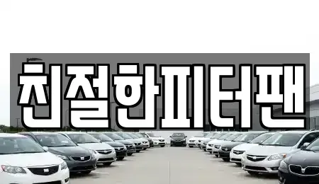 충남 천안시 동남구 유량동 중고차매입 전문 친절한피터팬