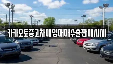 충남 천안시 동남구 유량동 중고차매입 전문 카카오토중고차매입매매수출판매시세