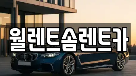 충남 천안시 서북구 입장면 렌트카 전문 월렌트솜렌트카