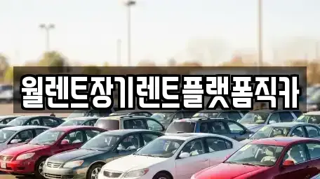 충남 천안시 서북구 입장면 장기렌트카,중고차,렌트카,단기렌트카,중고차매입,중고차매매