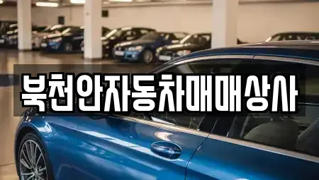 충남 천안시 서북구 입장면 중고차 전문 북천안자동차매매상사
