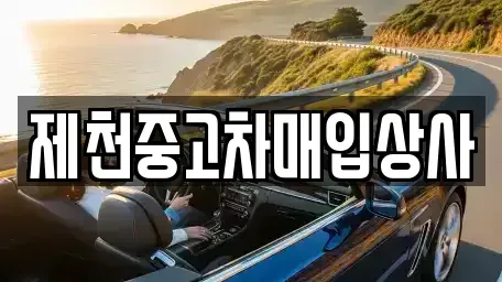 충북 제천시 중고차매매 전문 제천중고차매입상사