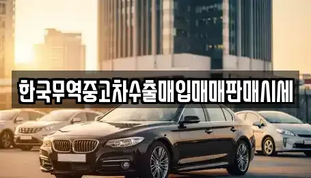 충북 제천시 중고차매매 전문 한국무역중고차수출매입매매판매시세