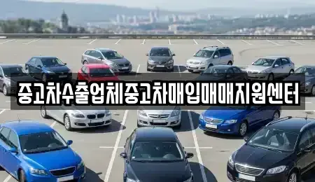 충북 제천시 중고차매입 전문 중고차수출업체중고차매입매매지원센터